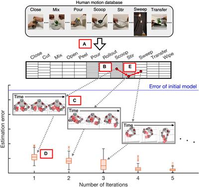 Curriculum-based humanoid robot identification using large-scale human motion database